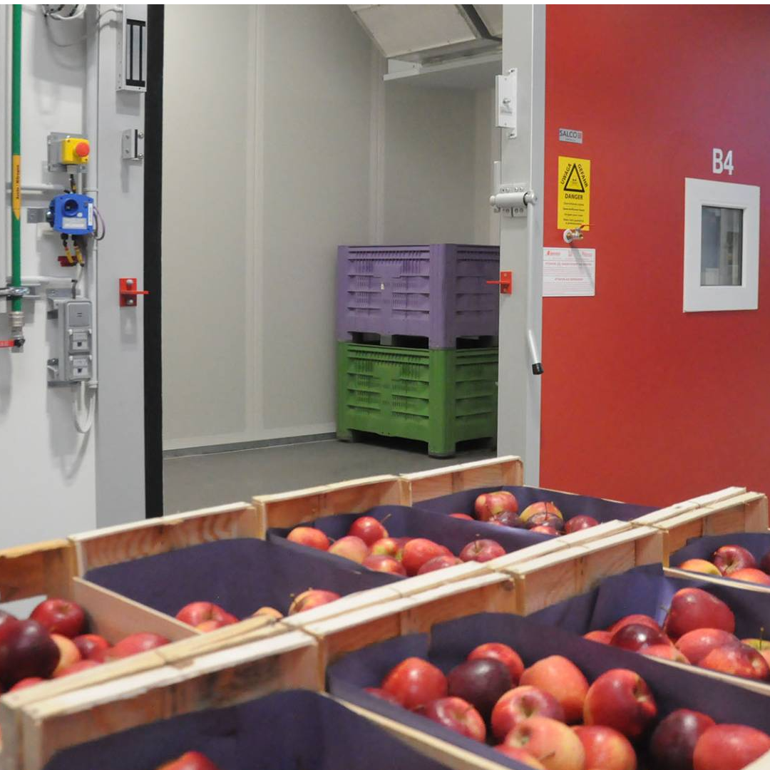 Prestations en Post-récolte