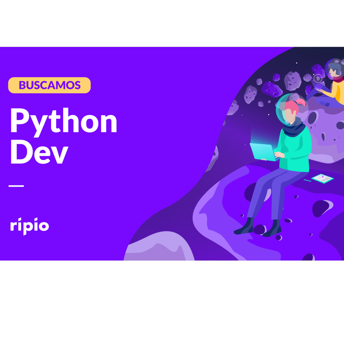 Python Developer