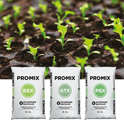 Substrats maraîchage jeunes plants