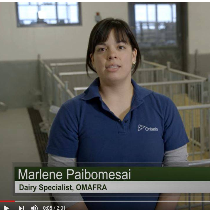Measuring Colostrum Quality Video