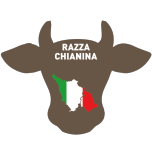 HAMBURGER DI RAZZA CHIANINA