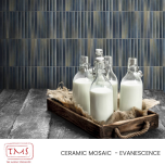 The Mosaic Specialists - Ceramic Mosaic