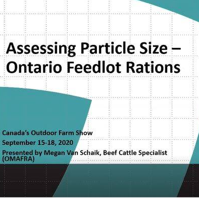 Assessing Particle Size in Beef Feedlot Rations