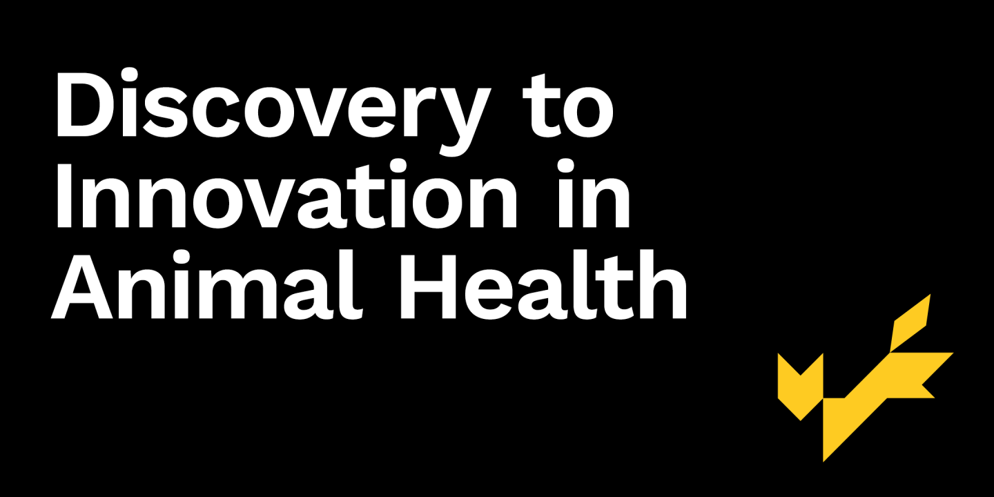 Discovery to Innovation in Animal Health (DIAH)