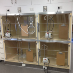 Mason Fibreglass Cages