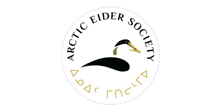 Arctic Eider Society