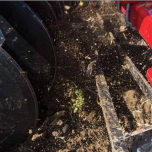 Sunflower seeding and tillage