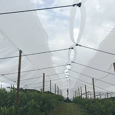 Climate-control protection net - Rain'net®