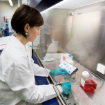 AIR-LIQUID INTERFACE (ALI) technology: bridge the gap between pre-clinical and clinical trials