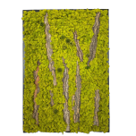 Tableau végétal stabilisé