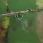 Natural Image (Wealthy ) by Lee,Young soo