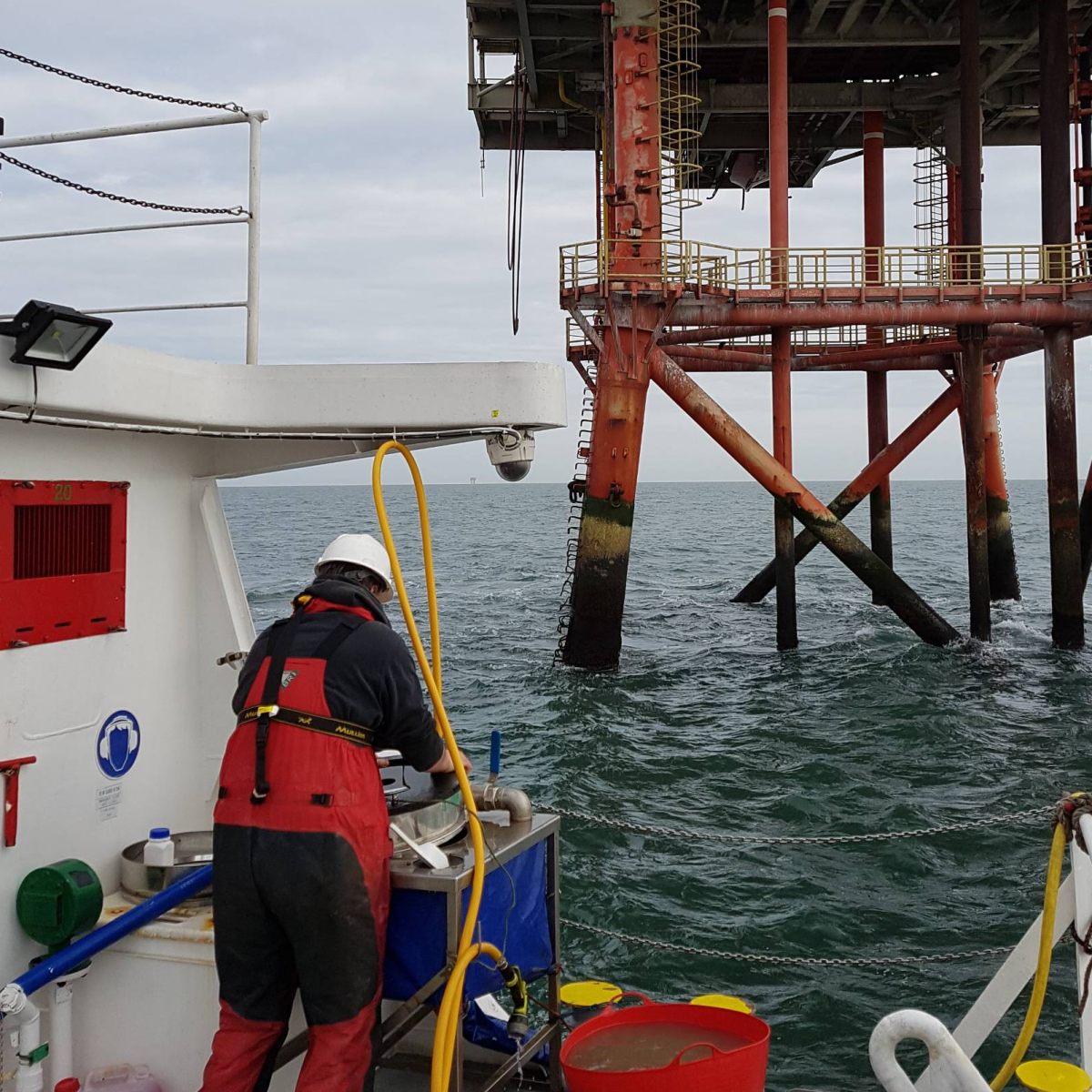 Decommissioning Surveys