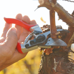 SECATEURS 1 MAIN FELCO