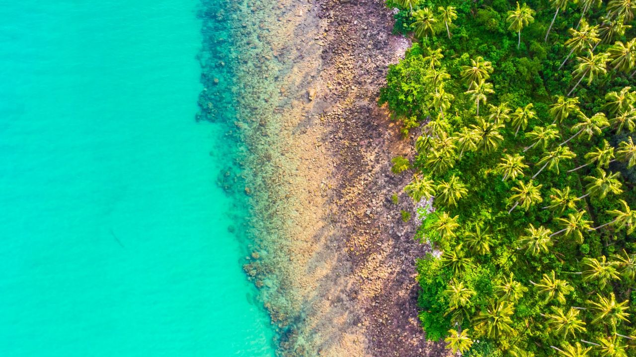 Ocean Philanthropy: Challenges and Solutions for Effective Ocean Conservation