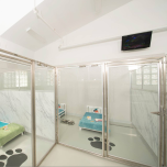 Mason on the Floor Sani-Kennel