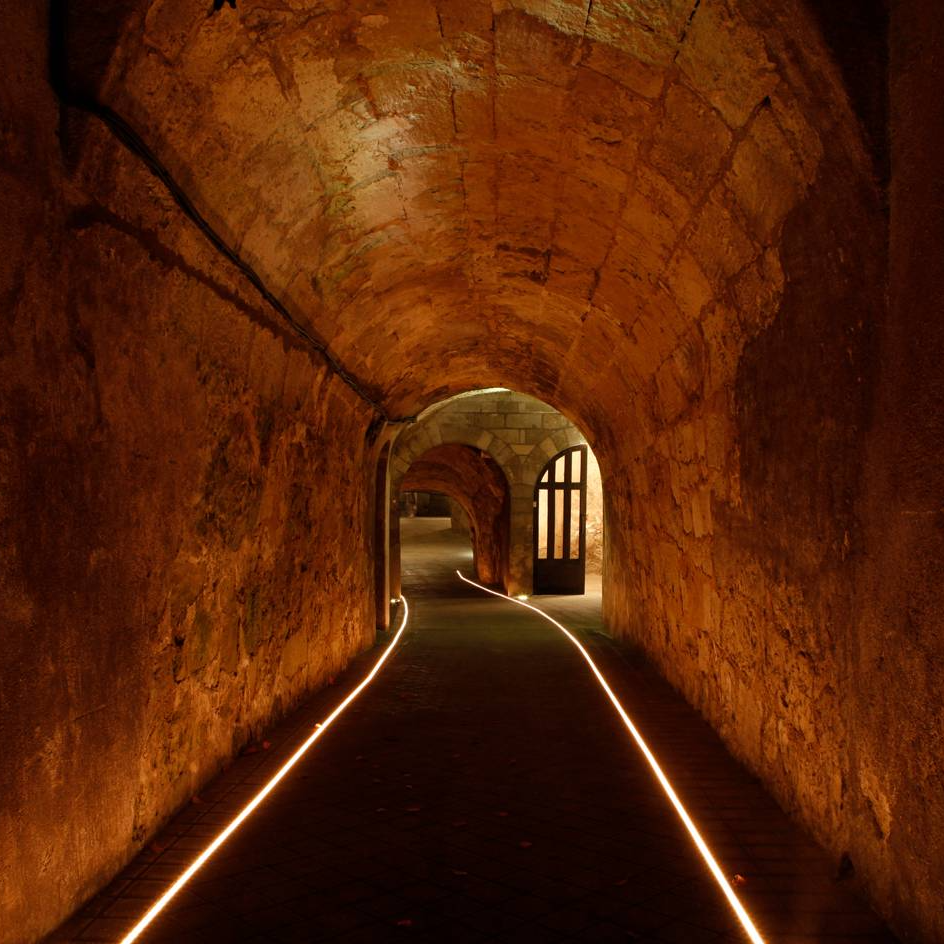 Visitez les caves Louis de Grenelle