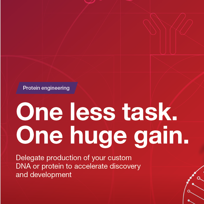 Invitrogen™ GeneArt™ Plasmid Purification Services