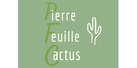 PIERRE FEUILLE CACTUS