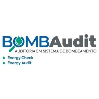 Auditing pumping systems
