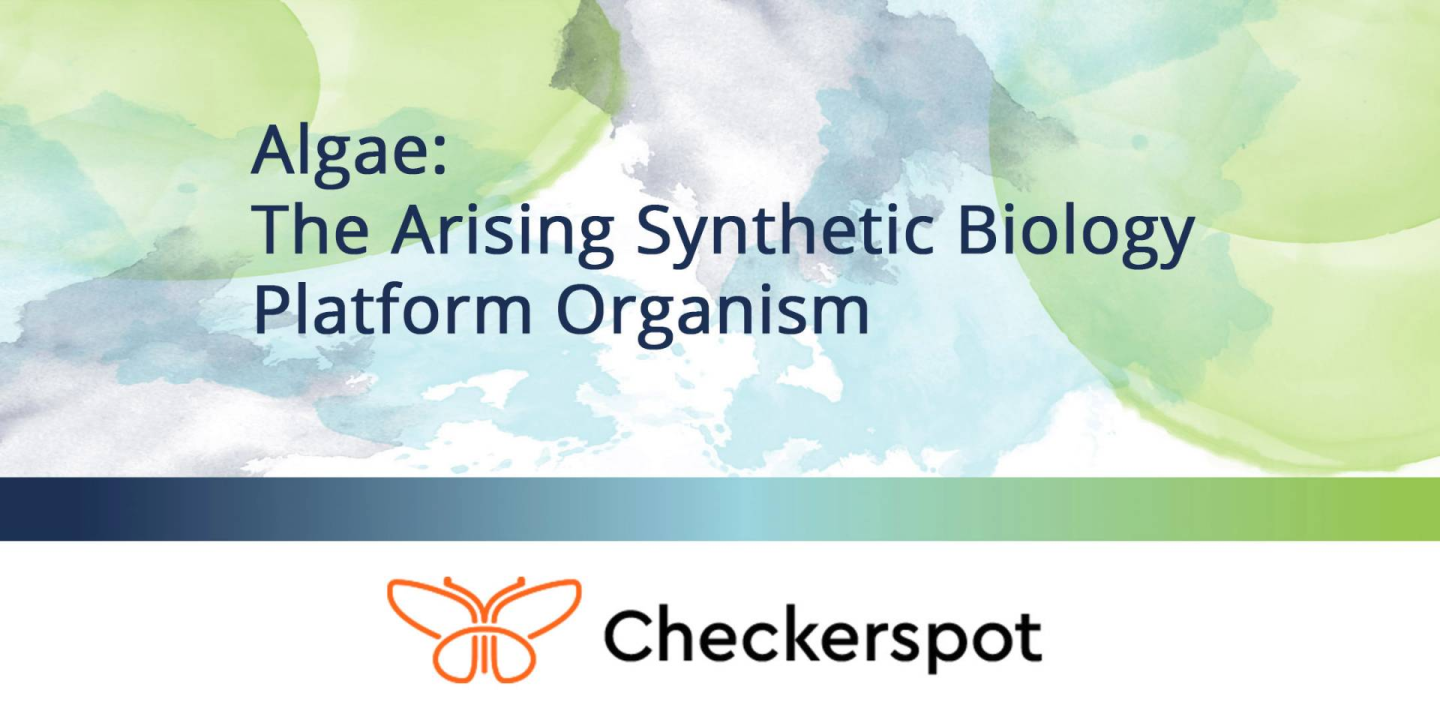 Algae: The Arising Synthetic Biology Platform Organism