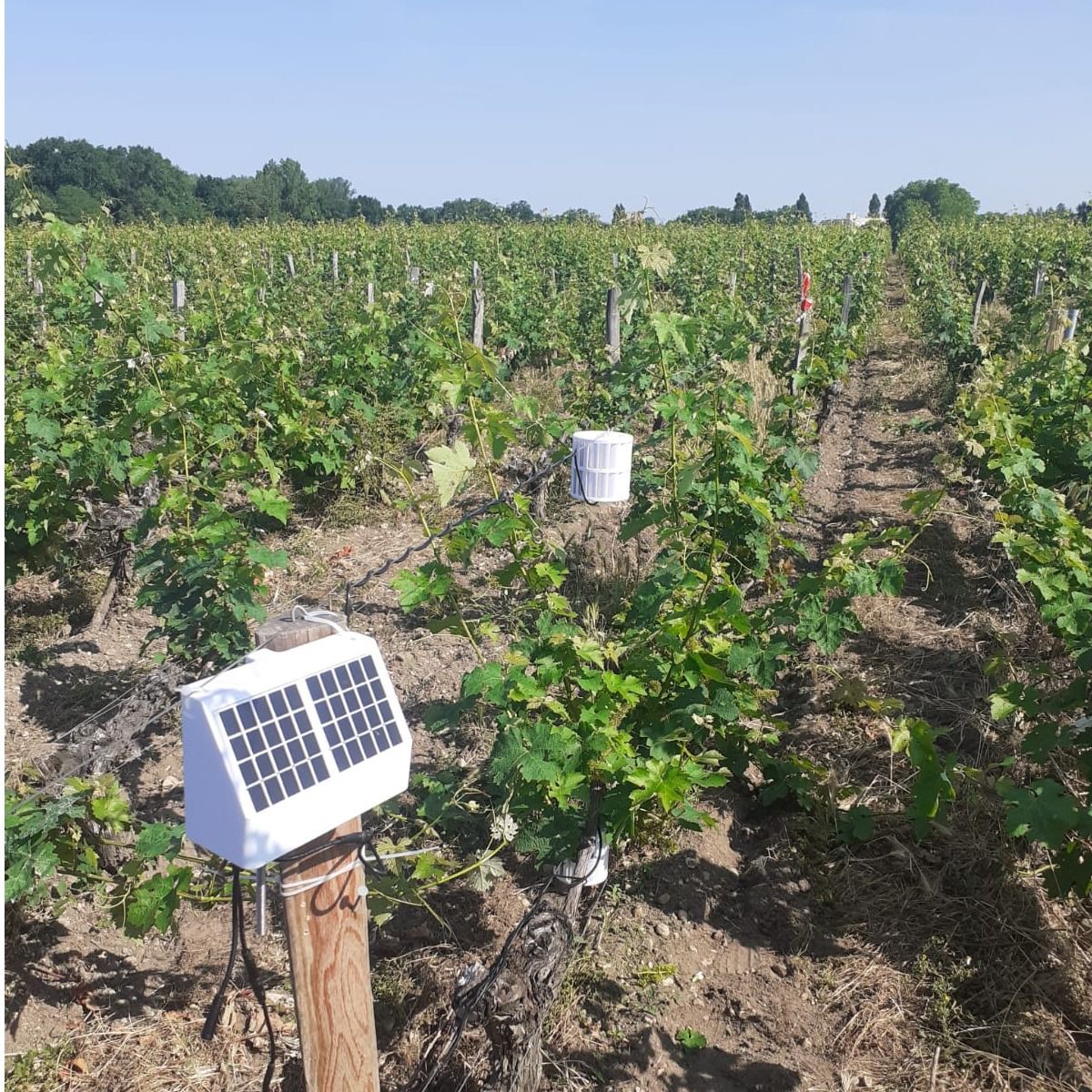Le service metIS : une météo Intelligente et Spatialisée