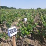 Le service metIS : une météo Intelligente et Spatialisée