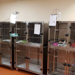 KA-509T Stainless Steel Modular Cage