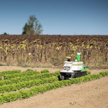 Oz, l'assistant agricole polyvalent