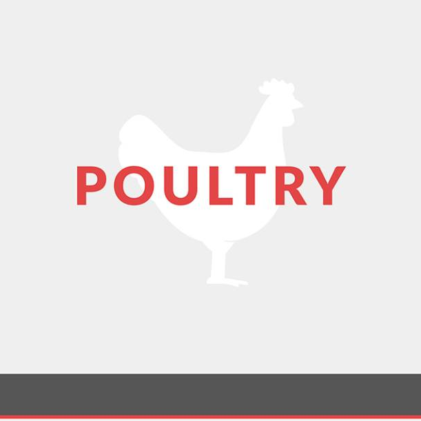 Poultry Services