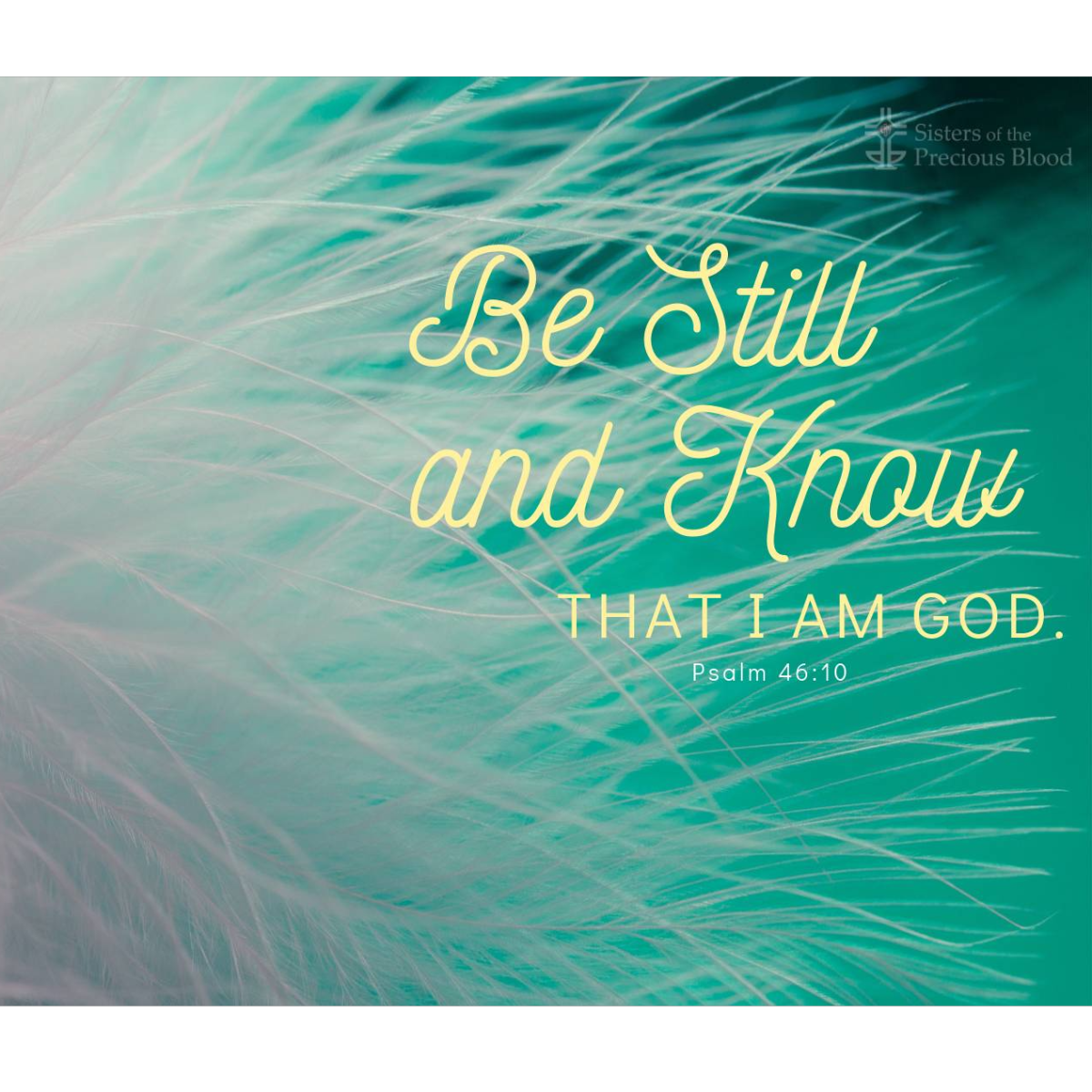 Be Still Desktop Wallpaper