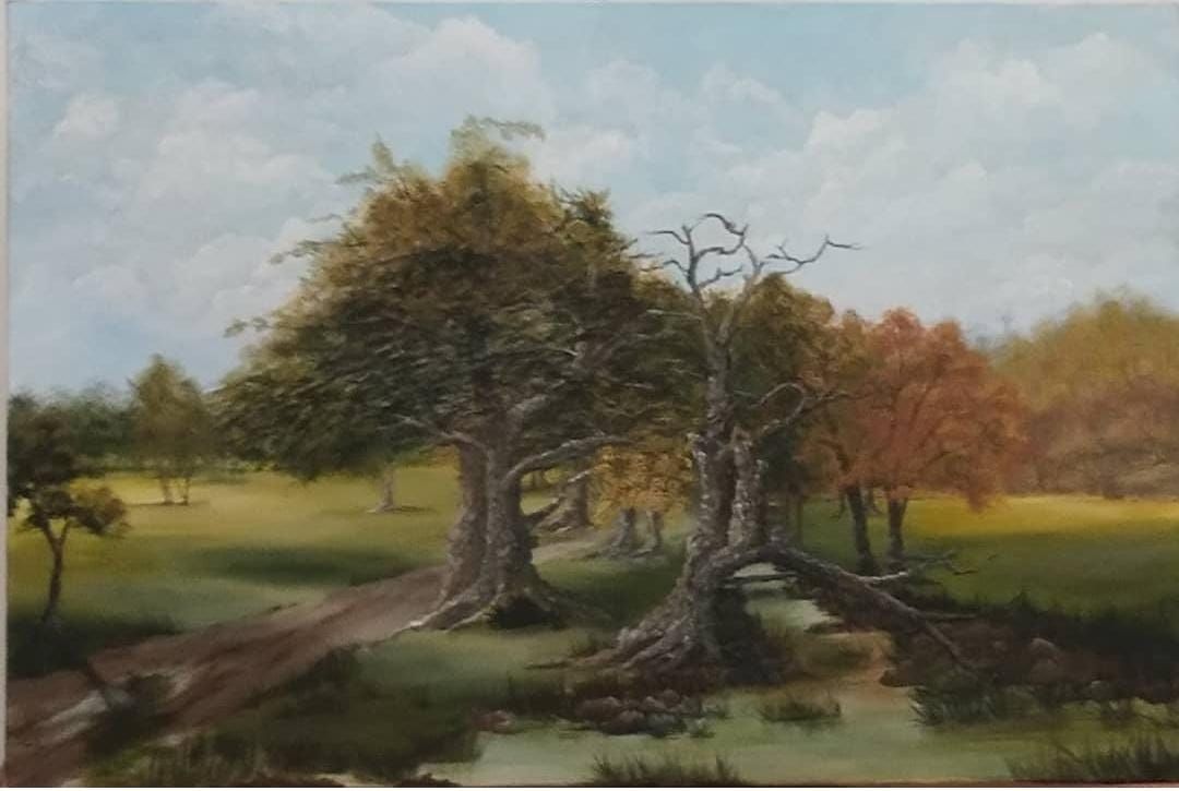 SILENT LANE. ANUBHA BALUAOURI EMINENT ART GALLERY