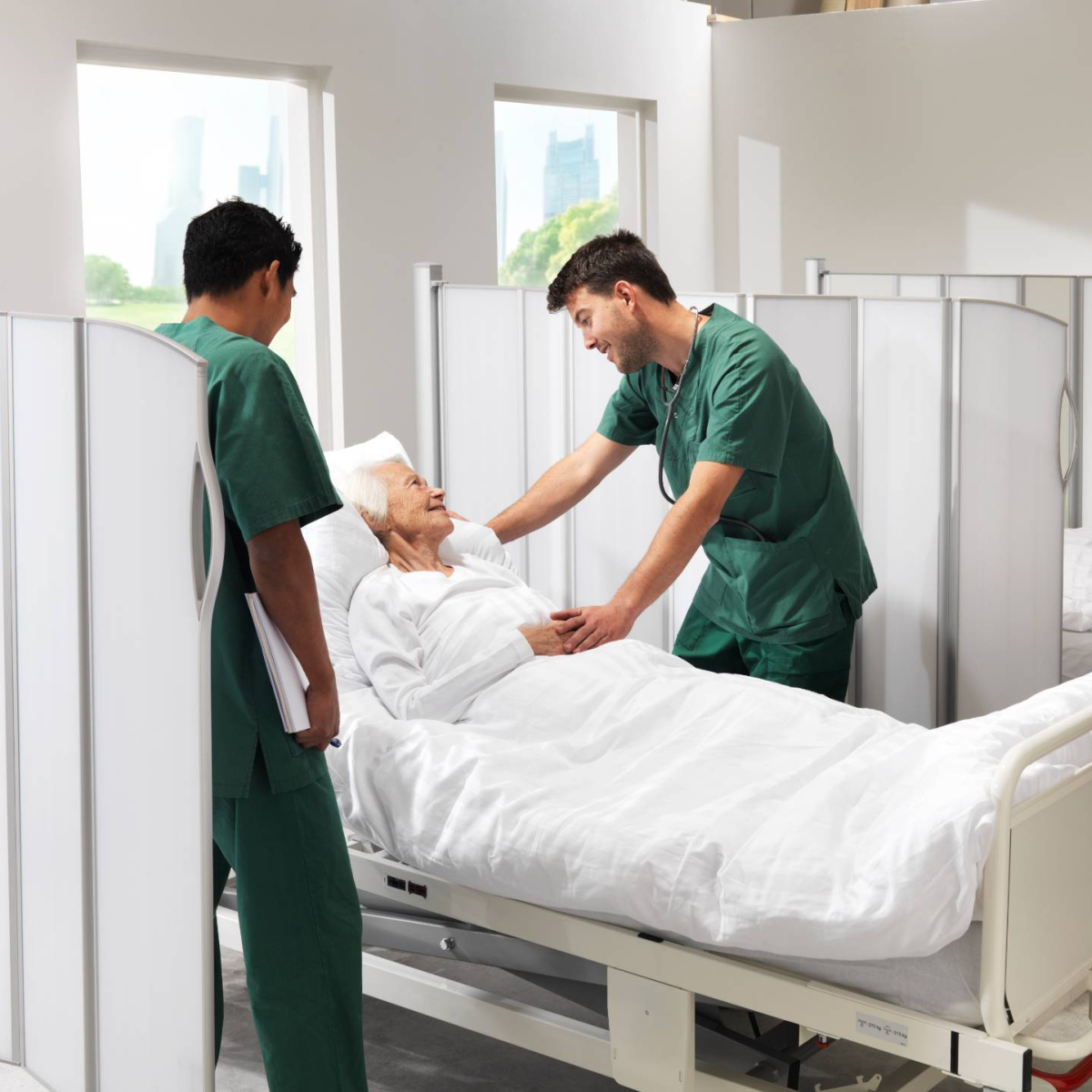 Silentia Folding Screen