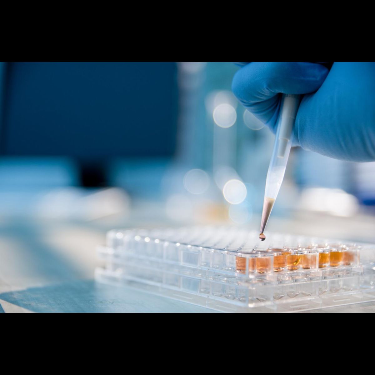 Functional ingredients