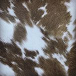 High Abrasion Digital Print Fabrics