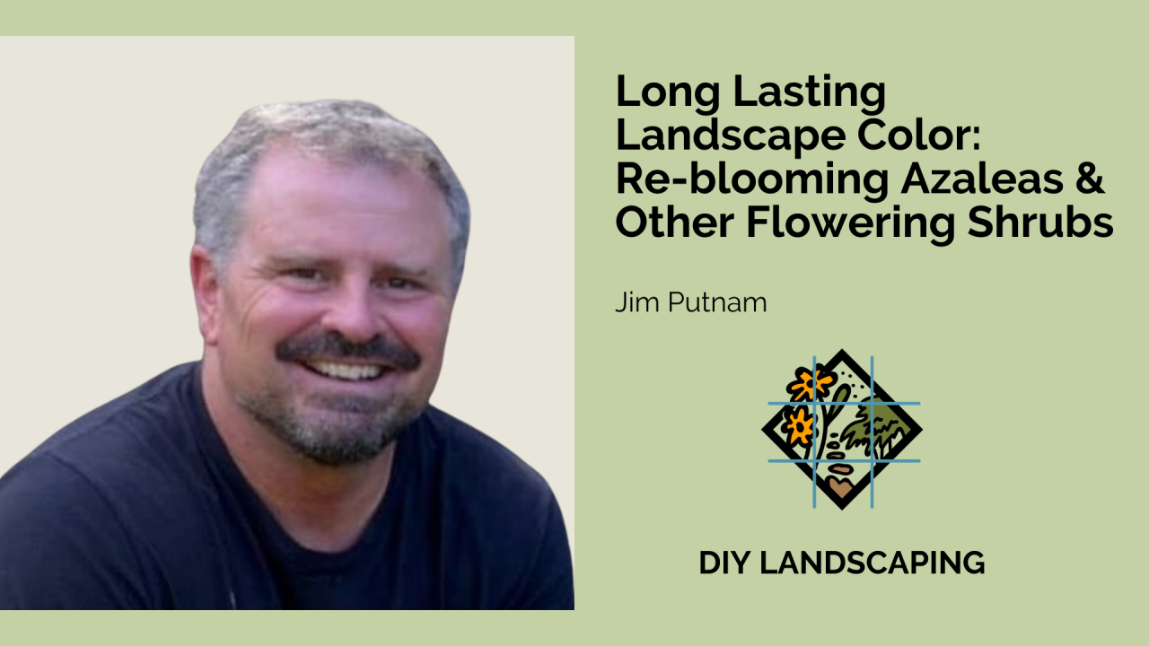 Long Lasting Landscape Color: Re-blooming Azaleas & Other Flowering Shrubs with Jim Putnam