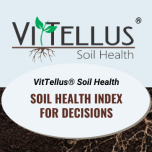 Soil Health Tests: VitTellus® Soil Health and the 🆕 VitTellus Bio℠ test that quantifies beneficial soil microbes