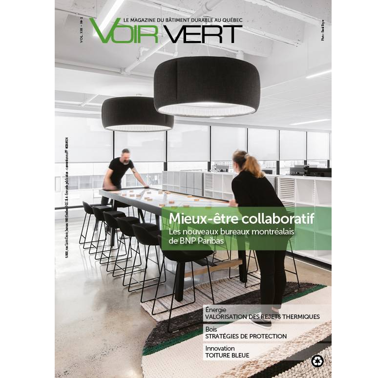 Magazine Voir Vert 2020 #1