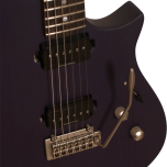 DeLaet Julie Unique Guitar