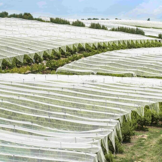 UV Treated Non Woven