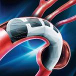 The Najuta CMD Thoracic Stentgraft System