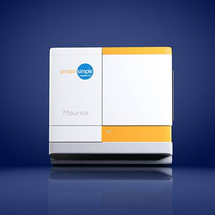 iCE Maurice - Ready-to-go CE-SDS or CE-SDS PLUS