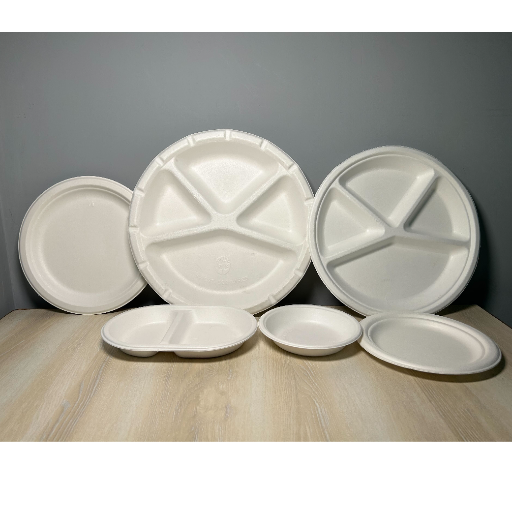 Bagasse Food Disposables