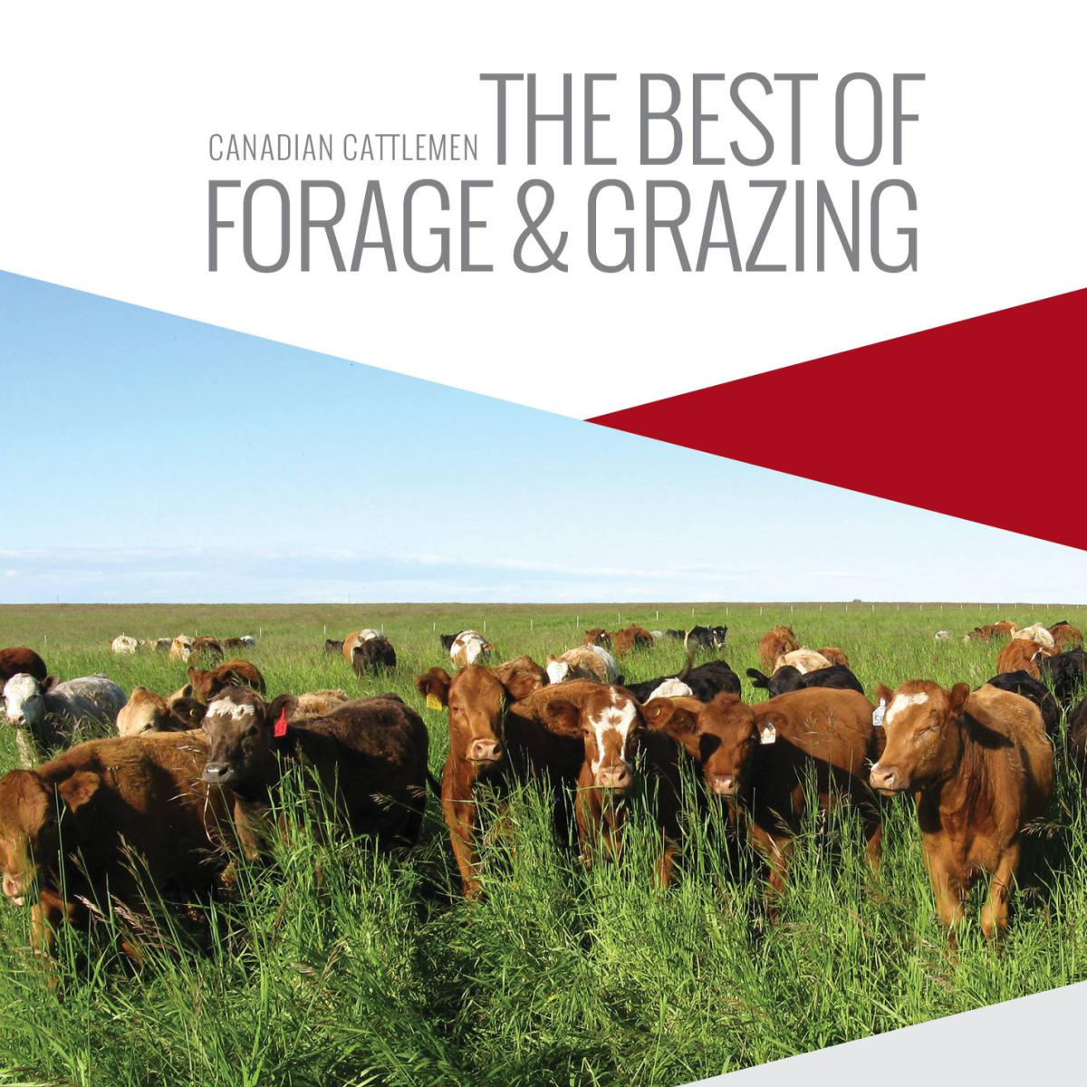 The Best of Forage and Grazing