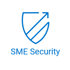 Security Solutions for SMEs