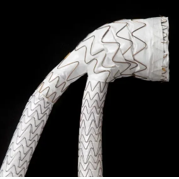 GORE® EXCLUDER® Conformable AAA Endoprosthesis with ACTIVE CONTROL System