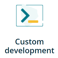 Custom Development