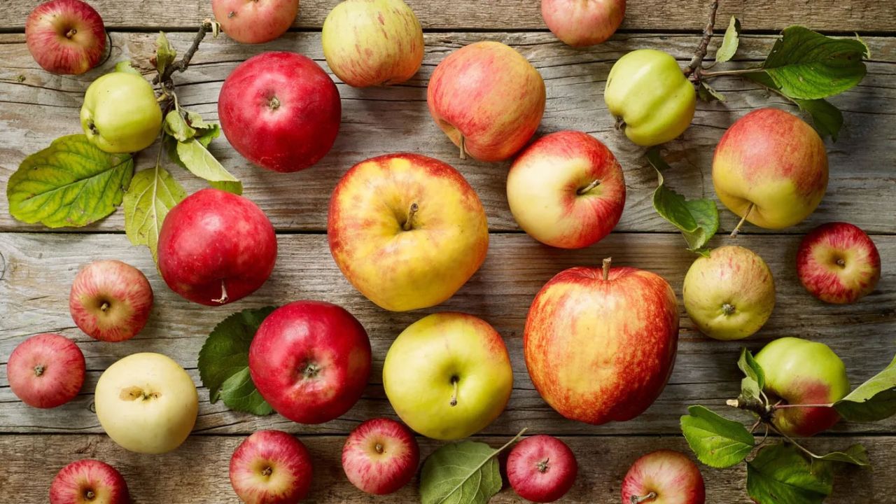 Jeu « Qui veut la peau de la pomme ? »
