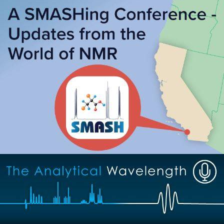 A SMASHing Conference—Updates from the World of NMR