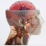 IMPRIMANTES 3D Stratasys - Polyjet J3/j5