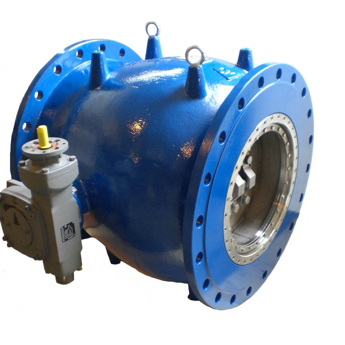 Plunger/needle valves PN 10-64